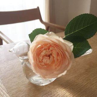 IMG_1893.jpg