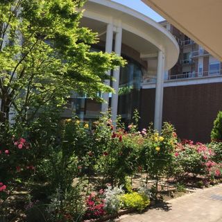 IMG_1898.jpg